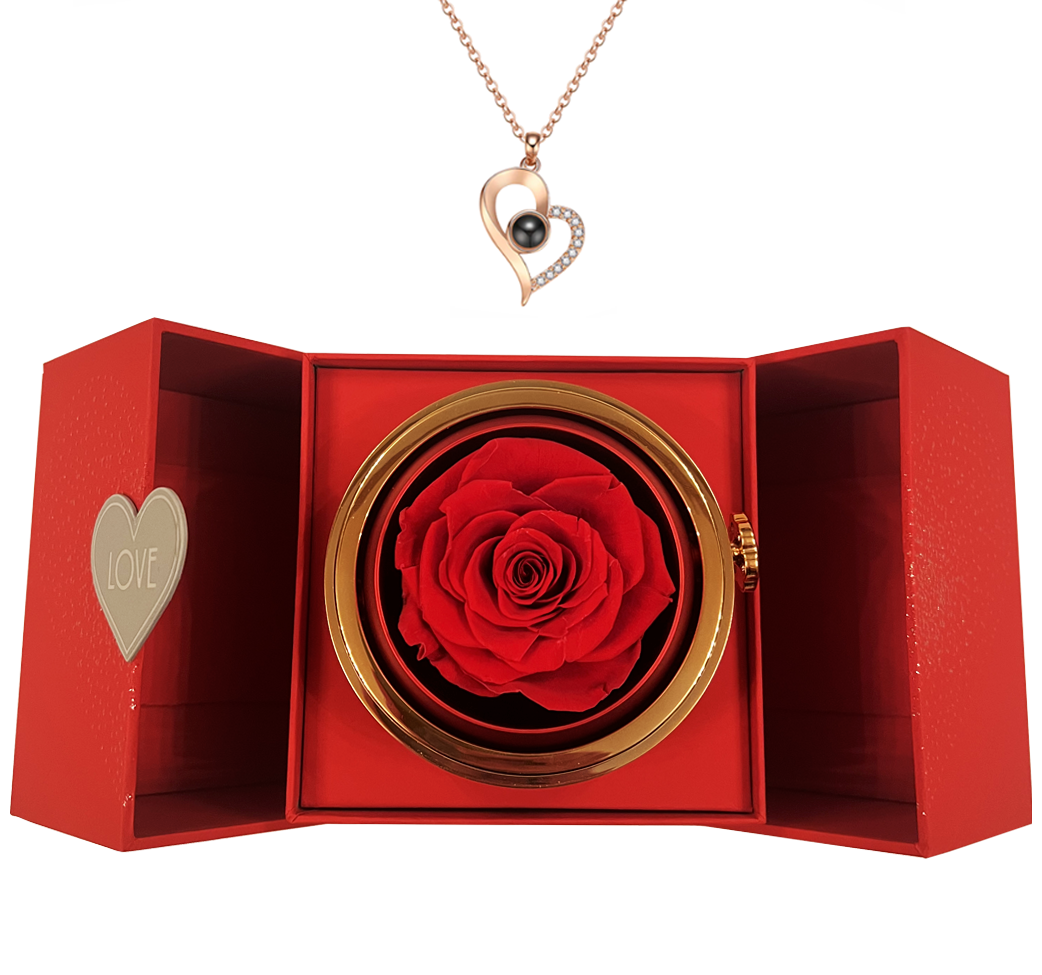 Novara™ I Projection Necklace + Gift Box ❤️